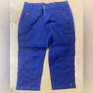 Camaieu Blue Capri Pants 12 (QB)